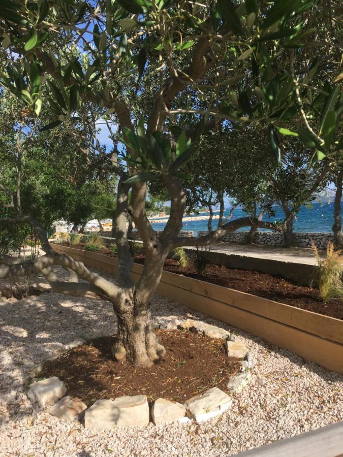 Appartamento Galeb Vodice Esterno foto