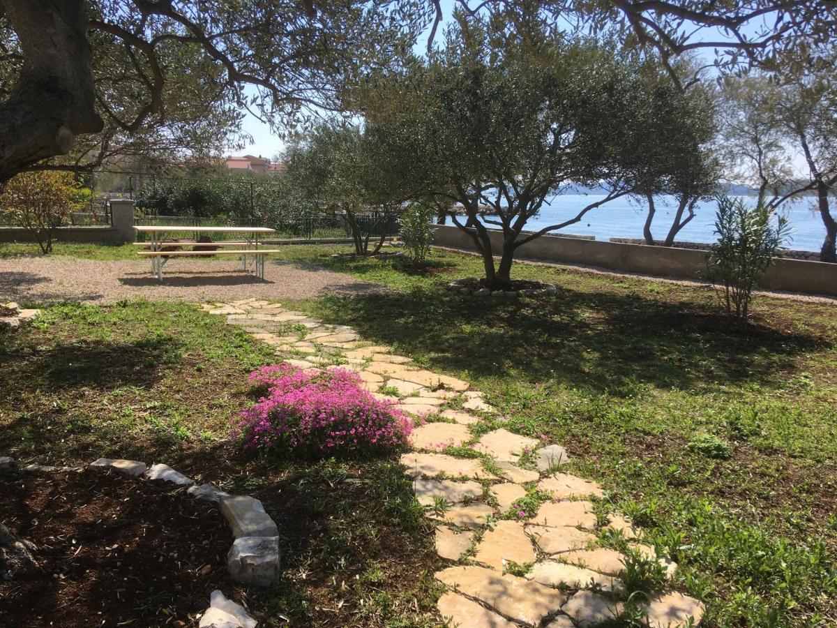 Appartamento Galeb Vodice Esterno foto