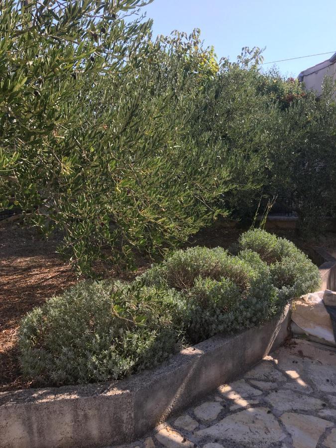 Appartamento Galeb Vodice Esterno foto